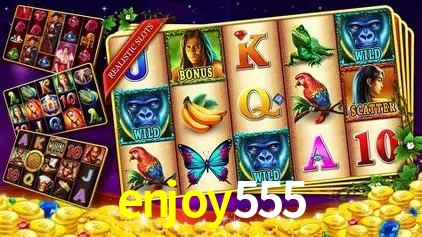 Experiência VIP enjoy555